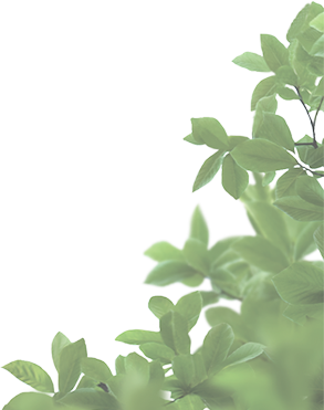 section2_leaf2